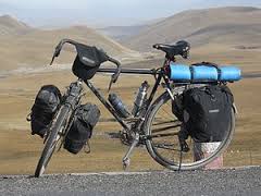 pannier是什么意思