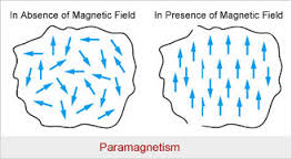 paramagnetic是什么意思
