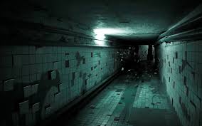 paranormal是什么意思