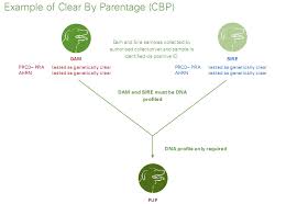 parentage是什么意思