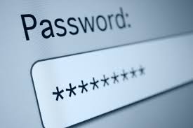 password是什么意思