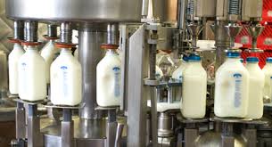 pasteurization是什么意思