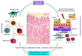 pathogenesis是什么意思