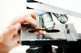 pathology是什么意思