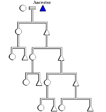 patrilineal是什么意思