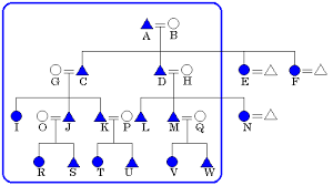 patrilocal是什么意思
