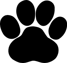 paw是什么意思