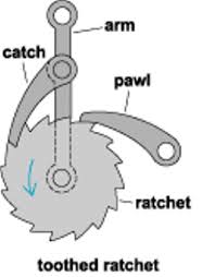 pawl是什么意思