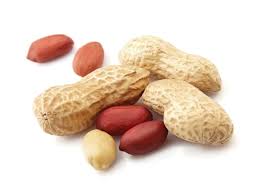peanut是什么意思
