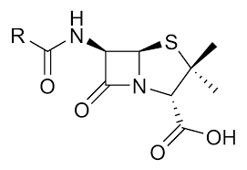 penicillin是什么意思