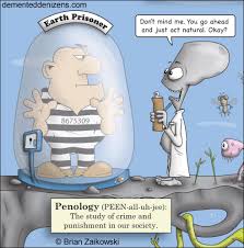 penology是什么意思