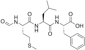 peptide是什么意思