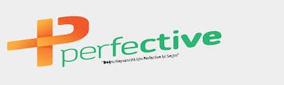 perfective是什么意思