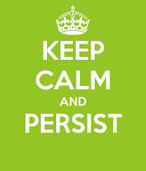 persist是什么意思