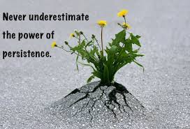 persistence是什么意思
