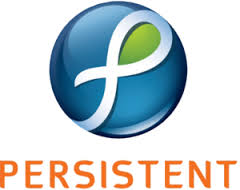 persistent是什么意思