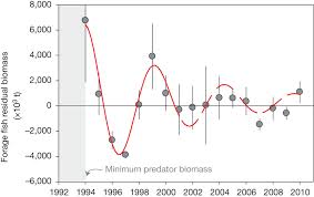 perturbation是什么意思