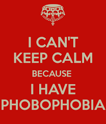 phobophobia是什么意思