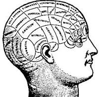 phrenology是什么意思