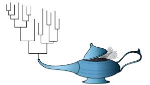 phylogeny是什么意思