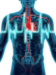 physiological是什么意思