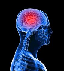 physiology是什么意思