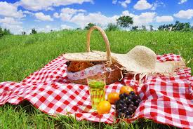 picnic是什么意思
