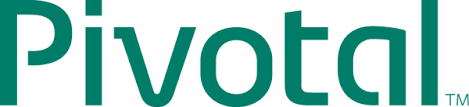 pivotal是什么意思