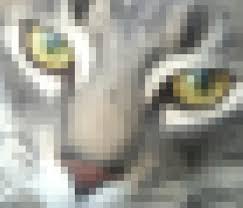 pixilated是什么意思