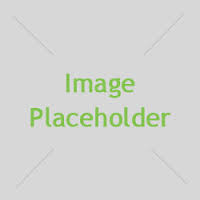 placeholder是什么意思