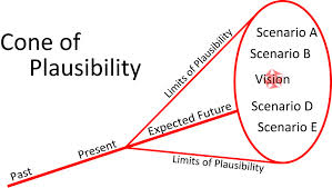 plausibility是什么意思