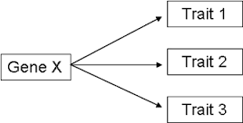 pleiotropic是什么意思