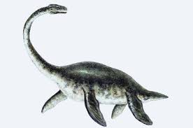 plesiosaur是什么意思