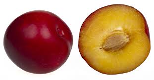 plum是什么意思