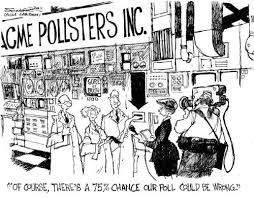 pollster是什么意思