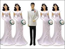 polygamy是什么意思