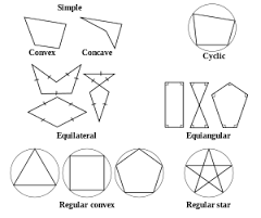 polygon是什么意思