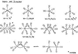 polynuclear是什么意思