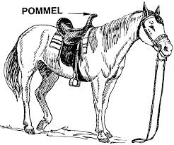 pommel是什么意思