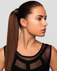 ponytail是什么意思