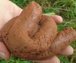 poop是什么意思