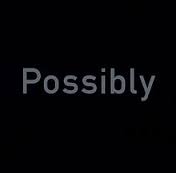 possibly是什么意思