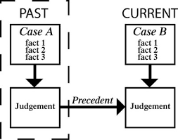 precedent是什么意思