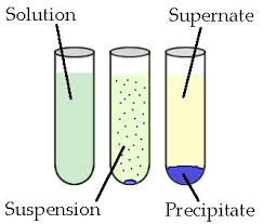 precipitate是什么意思