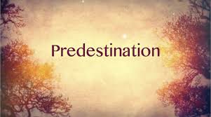 predetermination是什么意思