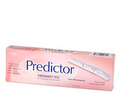 predictor是什么意思