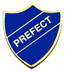 prefect是什么意思
