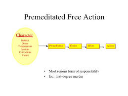 premeditation是什么意思