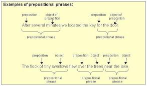 prepositional是什么意思