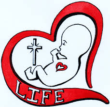 pro-life是什么意思